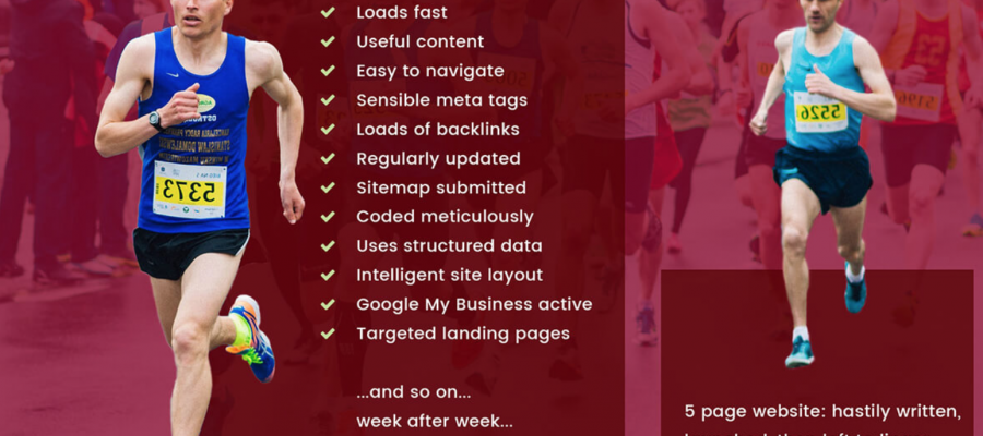 SEO For Small Business Minneapolis, SEO Agency Minneapolis, Acme