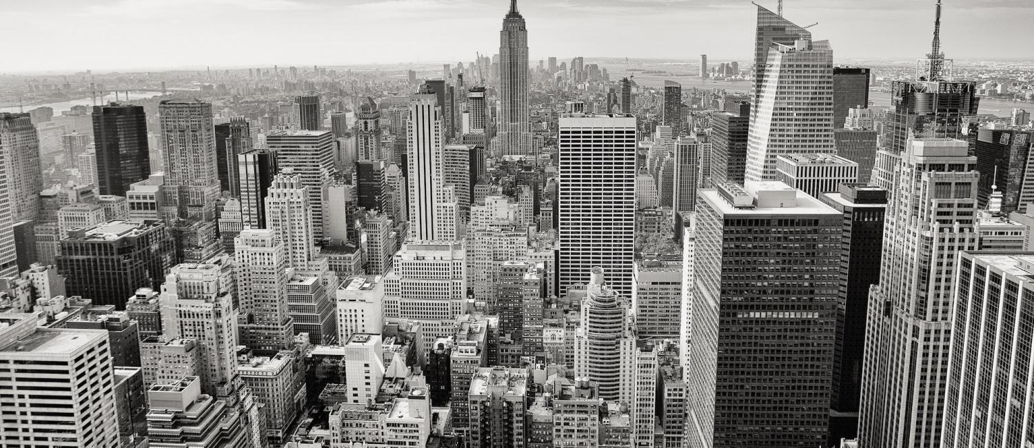 SEO For Small Business New York City, SEO Agency New York City, Acme