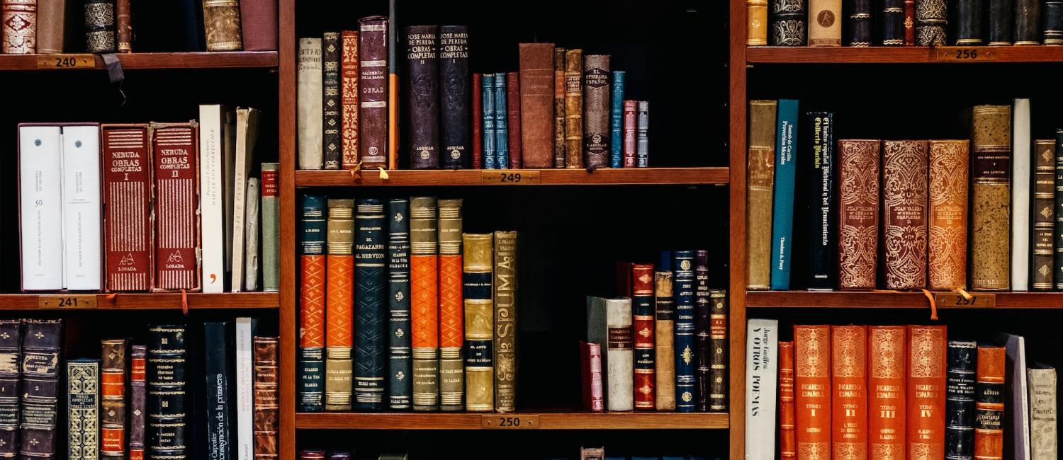 SEO For Small Business Minneapolis, SEO Agency Minneapolis, Acme