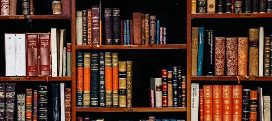 SEO For Small Business Minneapolis, SEO Agency Minneapolis, Acme